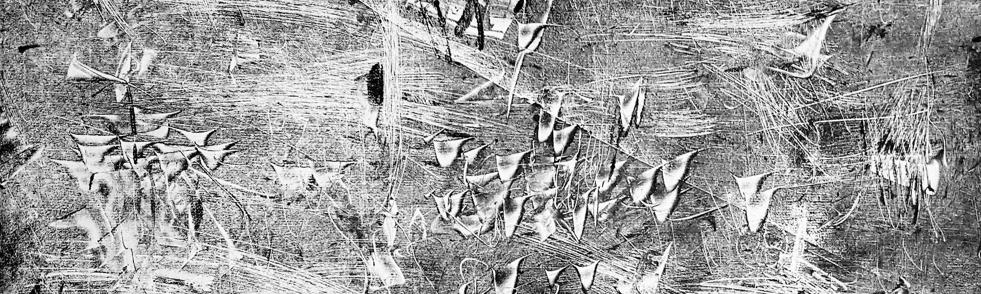 The Empire of Strokes banner